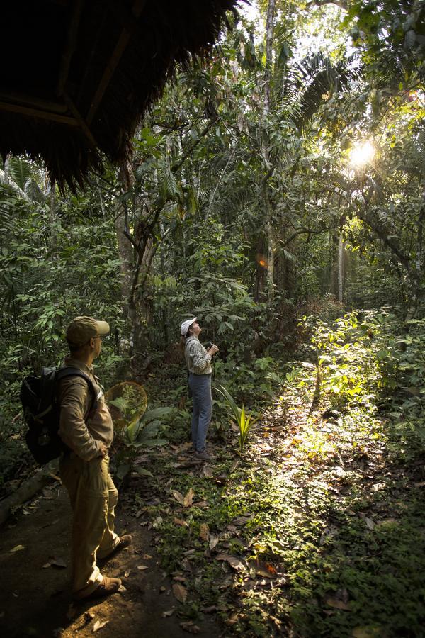 Hostel Inkaterra Guides Field Station Puerto Maldonado Exterior foto